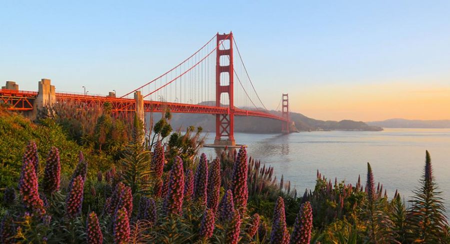 SAN FRANCISCO